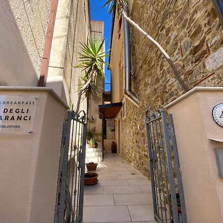 B&B Degli Aranci Palinuro Kültér fotó